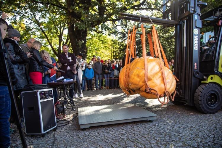Wrocław: Festiwal Dyni 2022 już w weekend. UWr spodziewa się 10 tysięcy gości