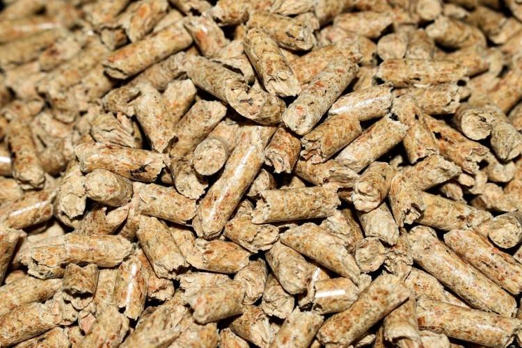 Komfort termiczny o każdej porze roku dzięki ogrzewaniu pelletem drzewnym