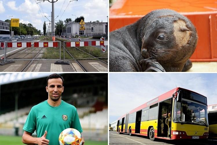 Samorządowcy idą do sejmu i nowy mieszkaniec zoo [PODSUMOWANIE DNIA]