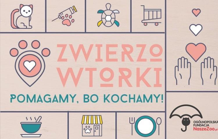 Ruszają 