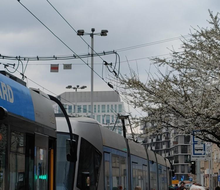 Wrocław: Na Dubois połamał się pantograf. Są objazdy MPK