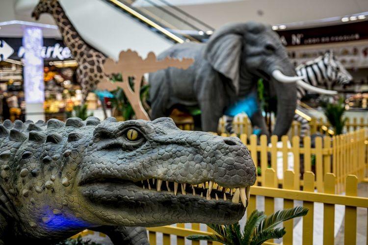Więcej niż wystawa. Dzikie zwierzęta i safari we Wroclavii