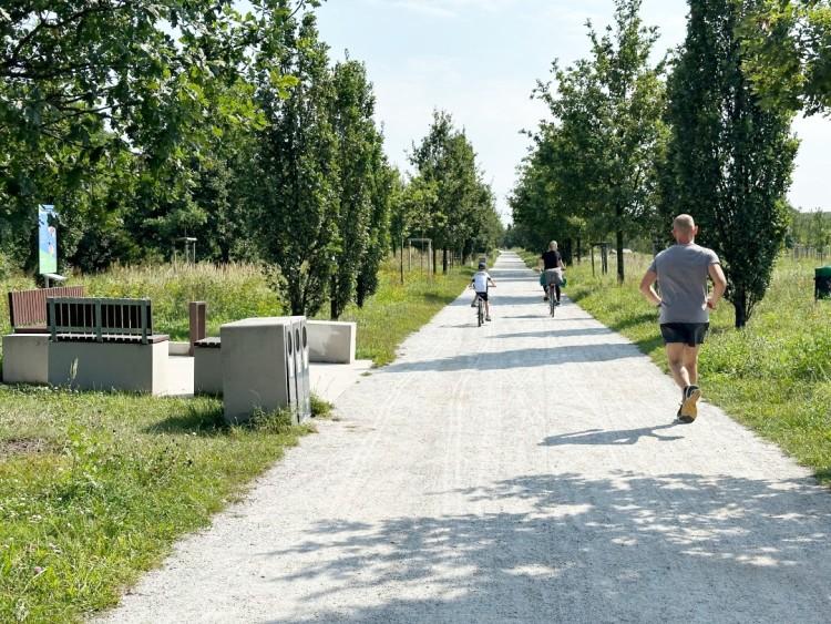 Jest najmłodszy i ma atrakcje rodem ze średniowiecza. Oto Park Tysiąclecia