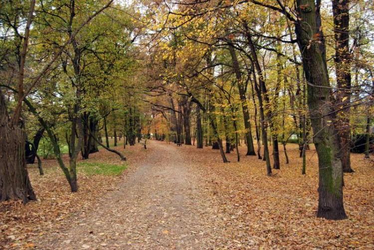 Wrocław: w tych parkach będzie jasno nawet w nocy