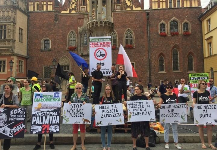 Wrocławianie w obronie Puszczy Białowieskiej. 