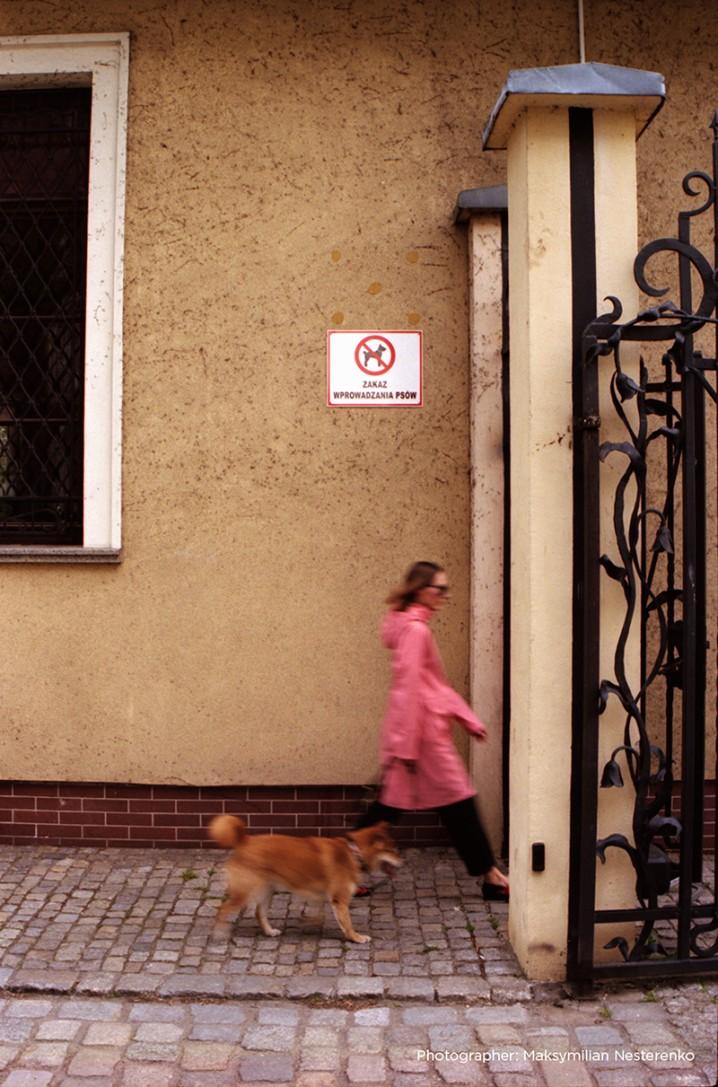Jeden dzień z psem. Projekt fotograficzny Rosjanki z Wrocławia [ZDJĘCIA]