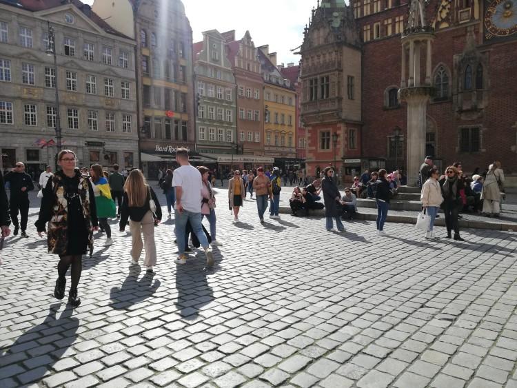 Wiosna we Wrocławiu w pełni. Na Rynku prawdziwe tłumy