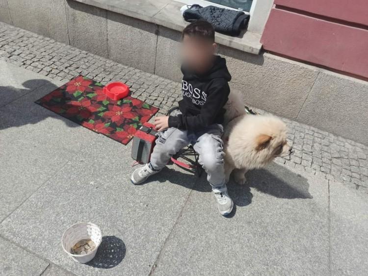 Chłopiec żebrał na wrocławskim Rynku. Jego matka dostała mandat