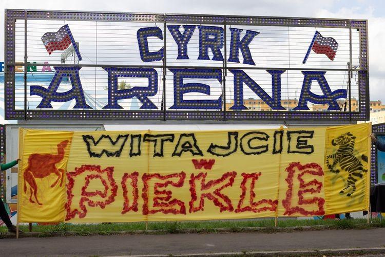 „Witajcie w piekle”. Protest przed cyrkiem przeciwko dręczeniu zwierząt [ZDJĘCIA]
