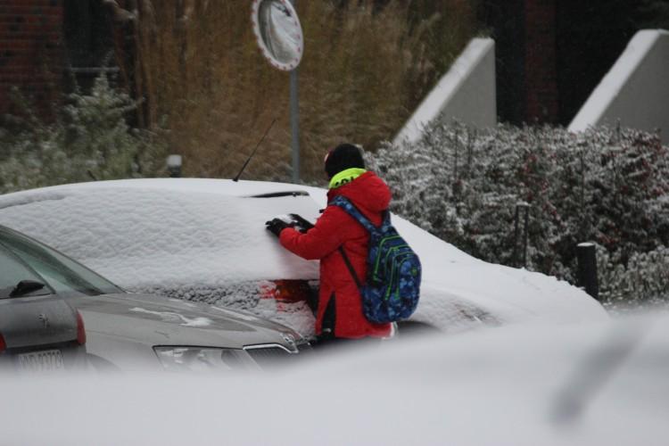 Wrocław: Zima znów zaatakuje na weekend. Mocno sypnie śniegiem