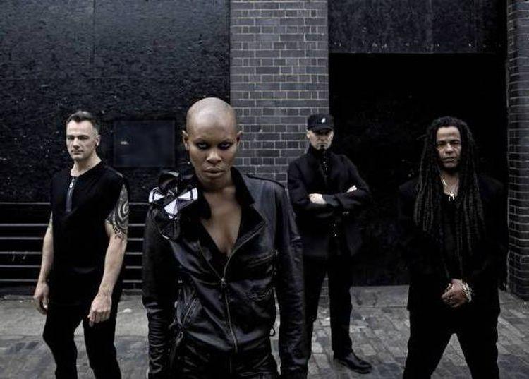 Koncert Skunk Anasie znów przełożony. Powodem pandemia