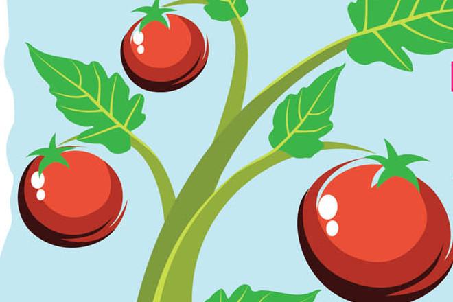 Kiermasz Żywności Ekologicznej i Produktów Regionalnych pod Iglicą