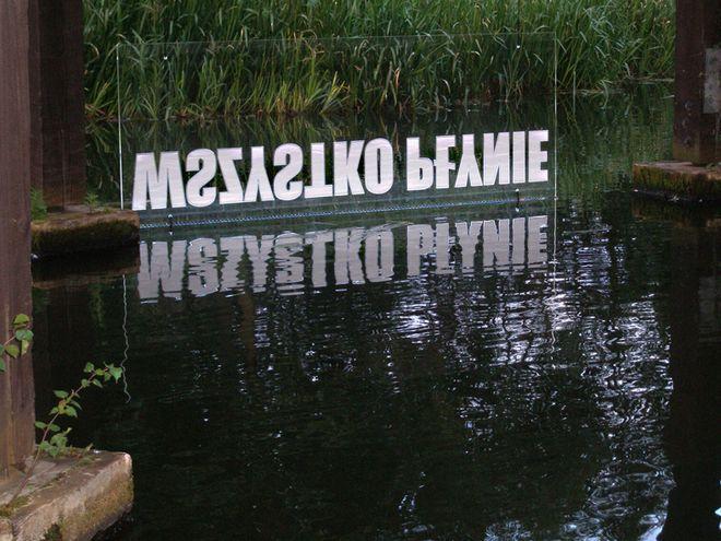 Od piątku można popłynąć z festiwalem Survival
