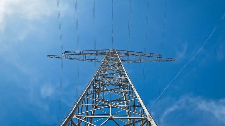 Tauron konserwuje sieć energetyczną. Zobacz, gdzie nie będzie prądu