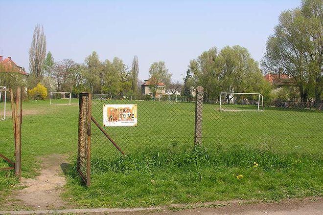 Mieszkańcy Oporowa apelują do władz miasta o zaprzestanie bezsensownej wycinki drzew na osiedlu