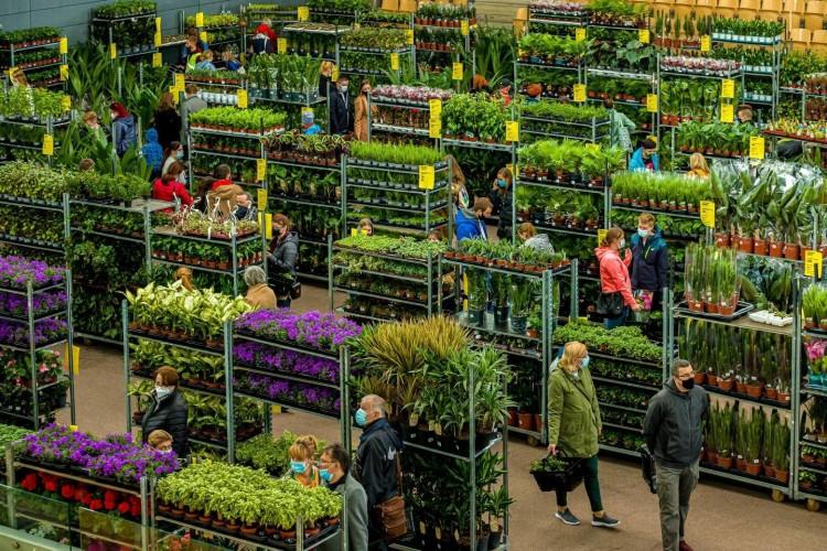 Wrocław: Festiwal Roślin w zajezdni Dąbie już w ten weekend