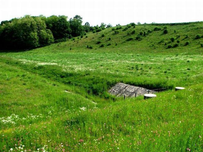Zamówienie na koszenie