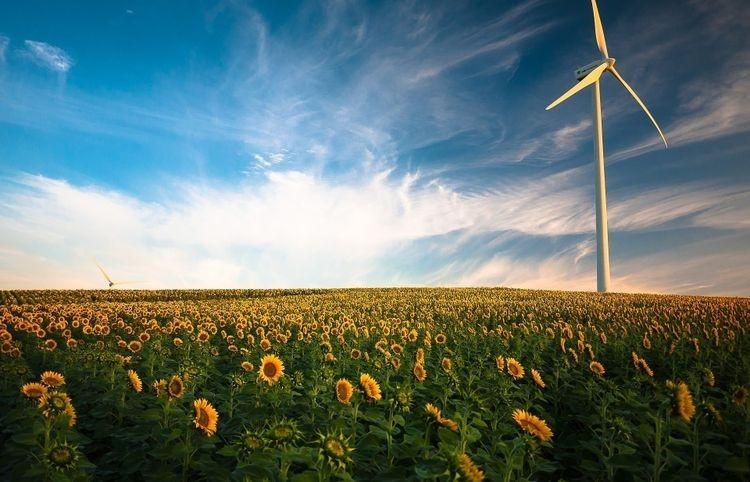 Zielone ABC – przedszkolaki o energii