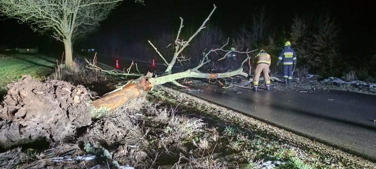 Straż usuwa skutki wichury: połamane drzewa, uszkodzone samochody