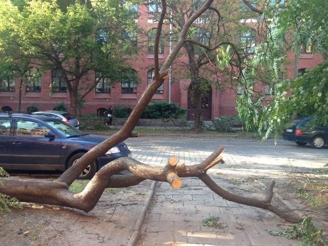 Nawałnica przeszła przez Wrocław. Grad i powalone drzewa na ulicach [ZDJĘCIA]