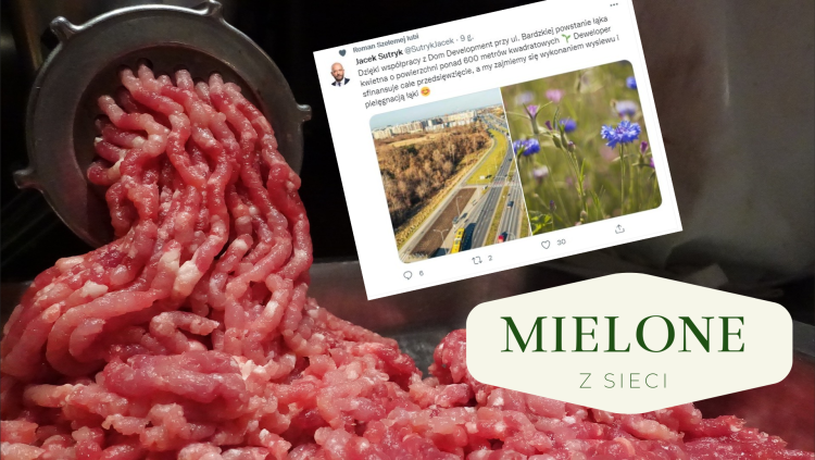 MIELONE Z SIECI Tusk cynik, Sutryk sieje kwiatki