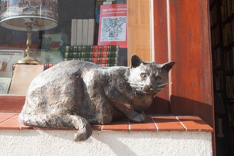 Legendarny kot powrócił do antykwariatu na Szewskiej. Dante ma swój pomnik! [ZDJĘCIA]