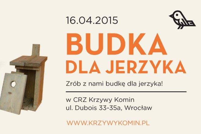 W samym sercu Wrocławia możesz pomóc małym pożytecznym jerzykom