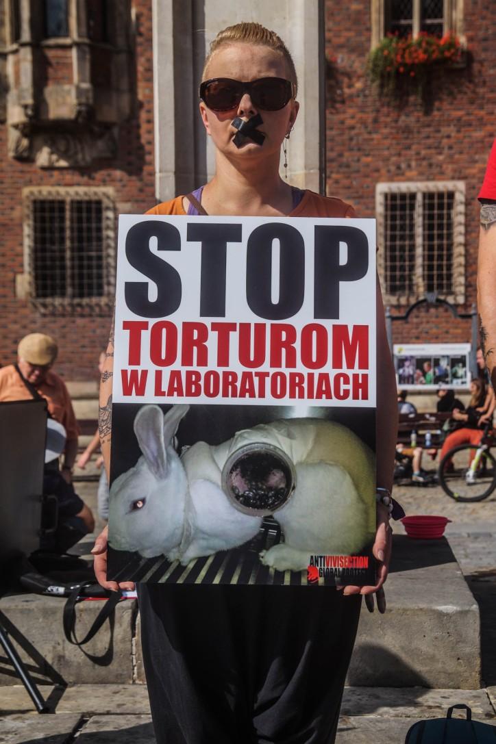 Protest w Rynku. Chodzi o działania rządu i Komisji Europejskiej [ZDJĘCIA]