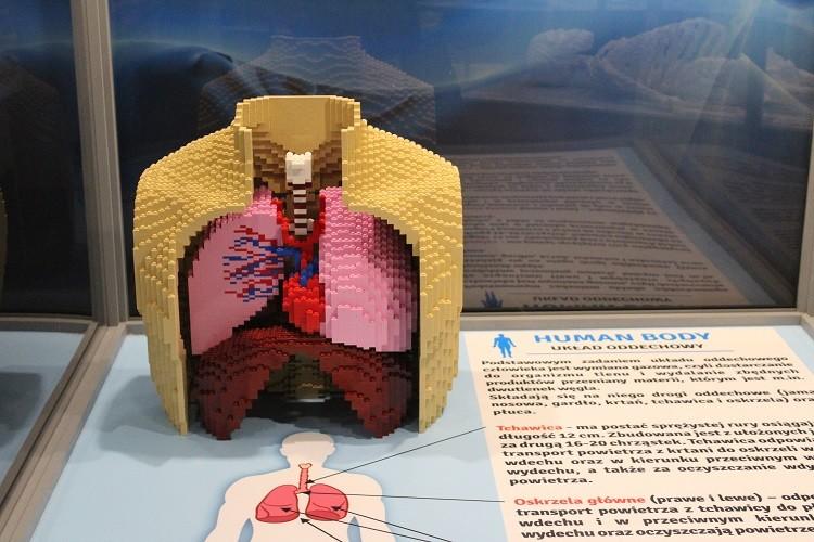 W piątek inauguracja największej wystawy klocków Lego w Polsce. Zobacz, jak wygląda w środku! [ZDJĘCIA]