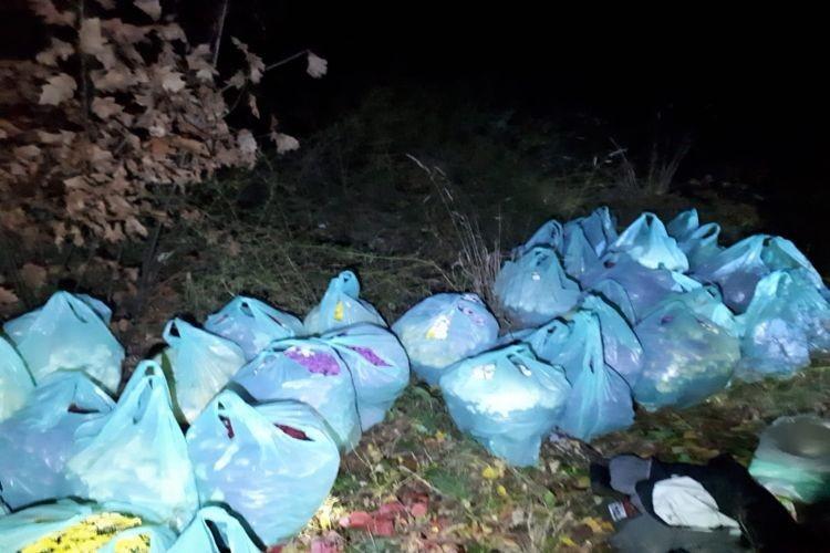 Ukradł z cmentarza ponad 40 donic z kwiatami [ZDJĘCIA]