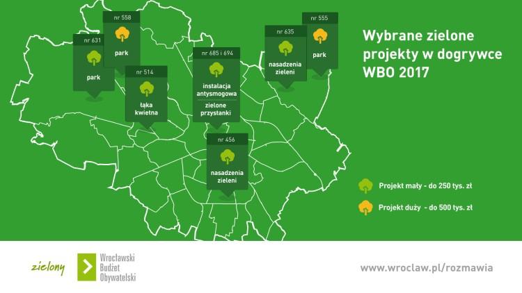Zielone przystanki i hotele dla zapylaczy – wrocławianie zdecydowali, na co miasto wyda dodatkowe 2,5 mln zł z WBO
