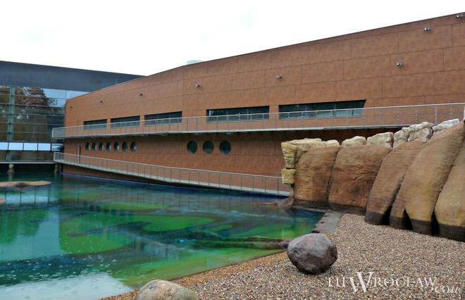 Igrzyska Gmin we wrocławskim Afrykarium