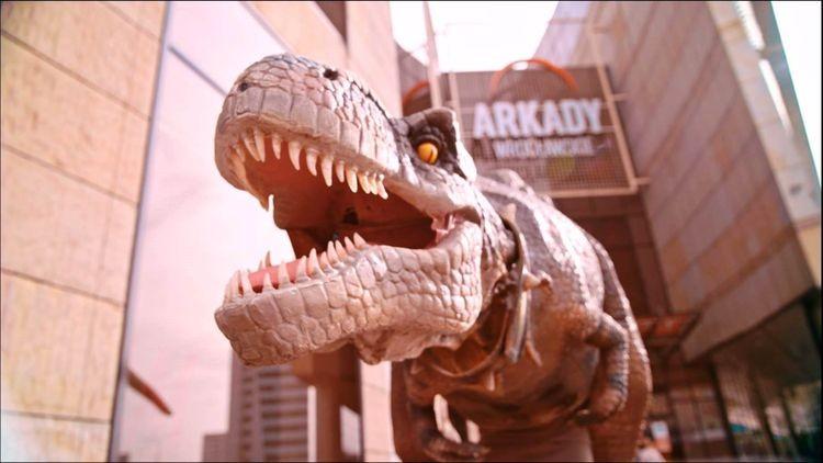 Festiwal Archeologii i Dinozaurów w Arkadach Wrocławskich
