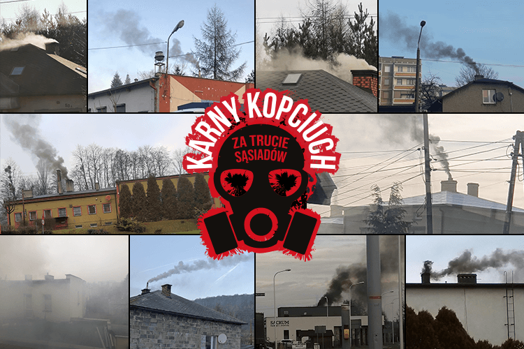 Osiem tygodni Karnego Kopciucha. Czas na „drugi krok”