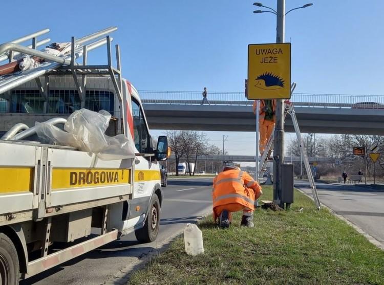 Tablice przy wrocławskich ulicach ostrzegają przed jeżami