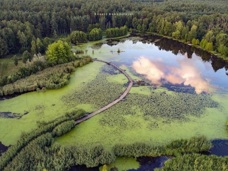 Magiczne miejsce mniej niż godzinę drogi z Wrocławia. Dziś wstęp wolny!