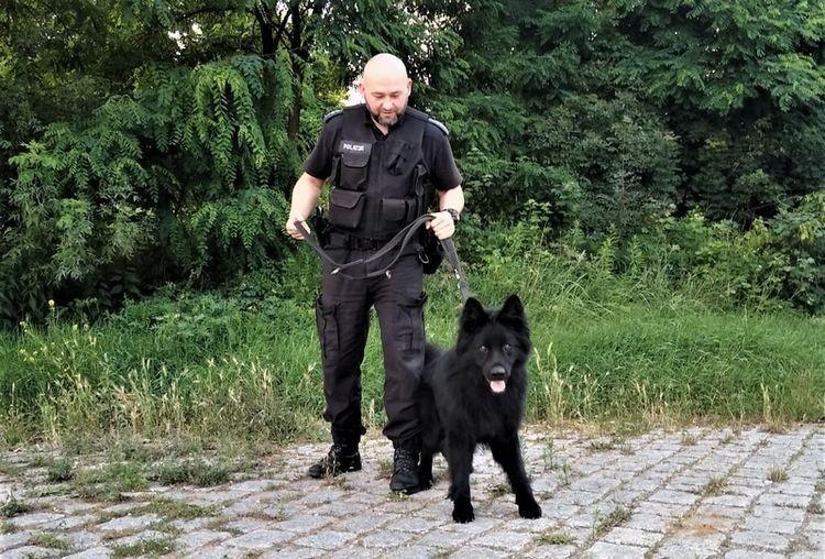 Pijana kobieta uszkodziła cudze auto. Wytropił ją policyjny pies