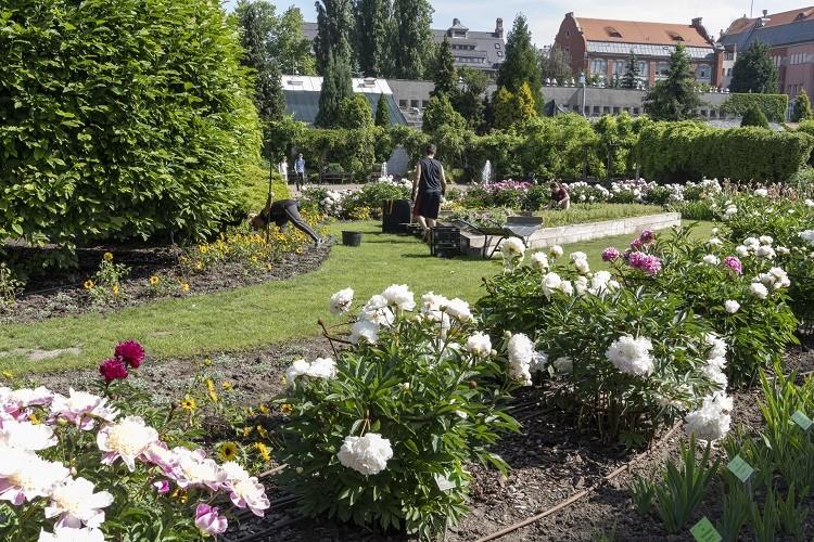 Ogród botaniczny UWr nie marnuje. Weekendowe warsztaty dla całej rodziny