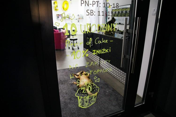 Nowy mural na Nadodrzu. Powstał we wnętrzu budynku przy ul. Śrutowej [ZDJĘCIA]