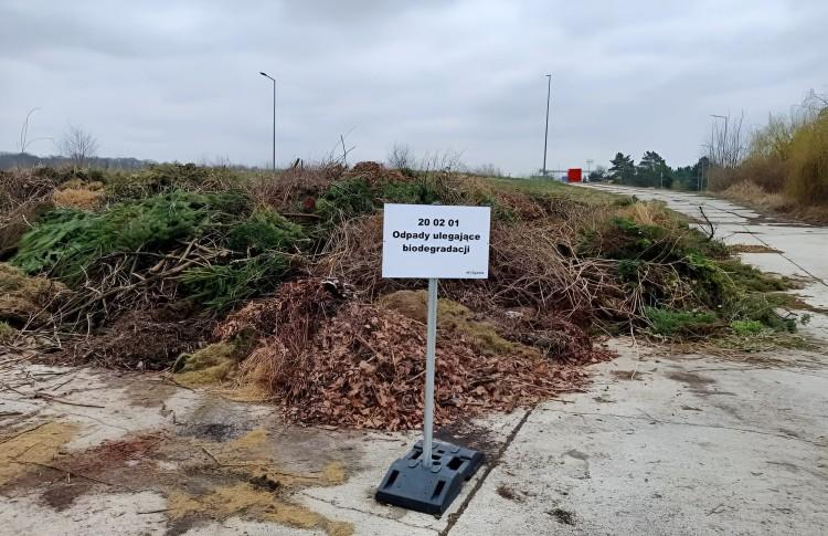 Zamiast starego miksera - kompost. Ekosystem rusza z akcją