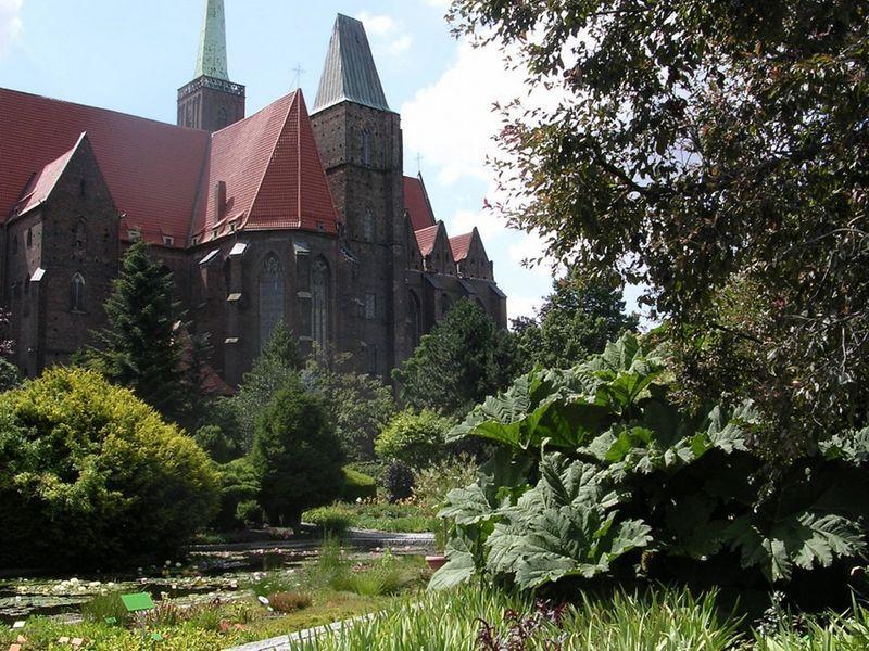 Odkrywamy Wrocław: Ogród nie tylko Botaniczny