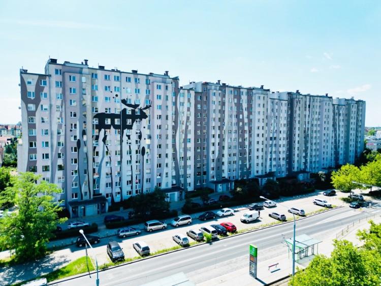 Niezwykłe bloki na wrocławskim osiedlu. Spacerują tam łosie, czaple i flamingi