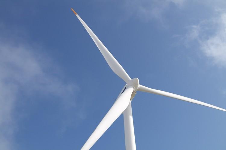 Wrocław: wiadomo, kto dostarczy „zieloną energię” dla urzędu miejskiego