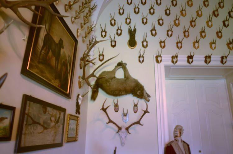 „Uśpiłem czarnego kota” – wystawa fotografii