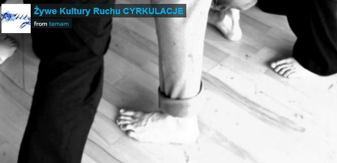 Festiwal Żywe Kultury Ruchu Cyrkulacje - nowość we wrocławskim kalendarzu imprez