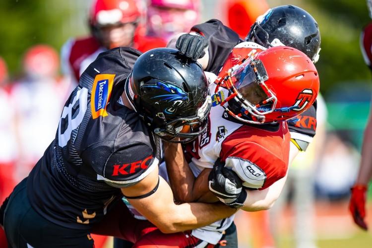 Panthers bez litości dla beniaminka z Opola. Pewna wygrana wicemistrzów Polski [RELACJA]