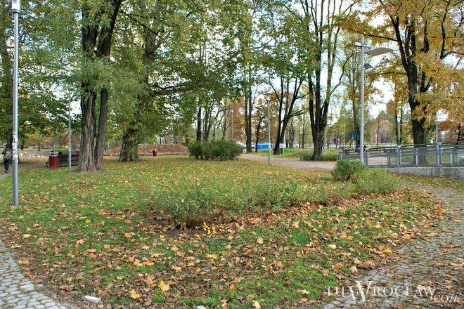 Urzędnicy: zamknięcie Wyspy Słodowej się sprawdziło - trawa biologicznie odpoczywa