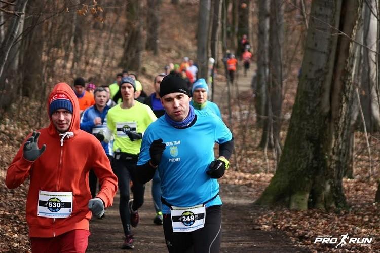 Znudziłeś się bieganiem w mieście? Spróbuj w lesie!