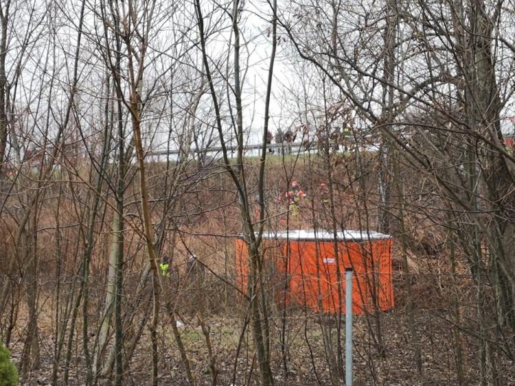 Mężczyzna skoczył ze słupa energetycznego przy Krakowskiej. Zmarł na miejscu