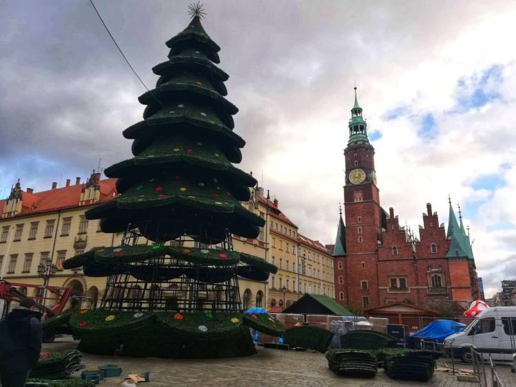 W tym roku choinka na Rynku zaświeci wcześniej! Znamy datę